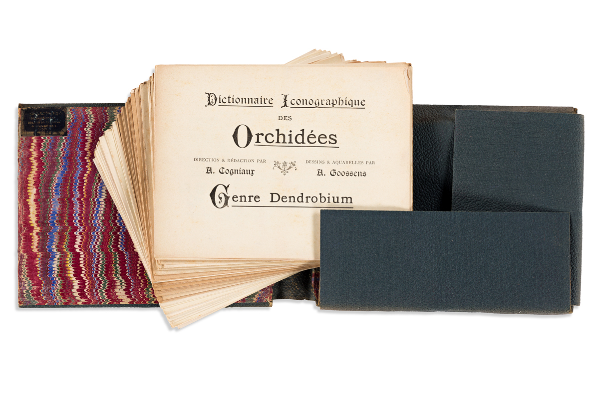 (ORCHIDS.) Cogniaux, Alfred; and Alphonse Goossens. Dictionnaire Iconographique des Orchidées.